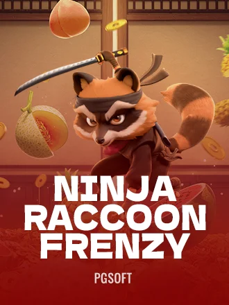 Ninja Racoon Frenzy