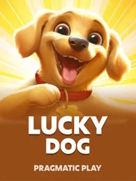 Lucky Dog
