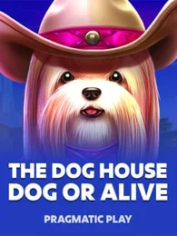 The Dog House - Dog or Alive