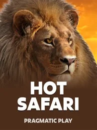 Hot Safari
