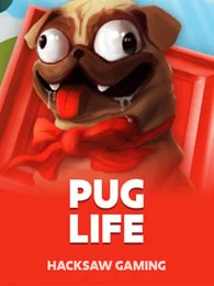 Pug Life