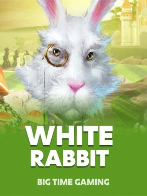 White Rabbit